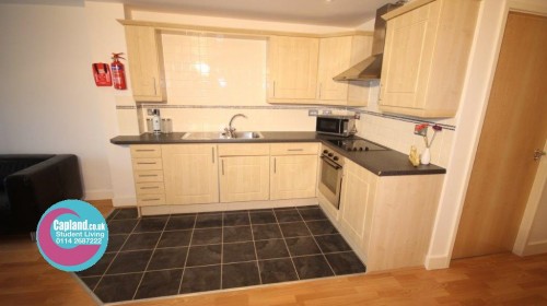 Open Plan Living Area 9a Broom Street Sheffield